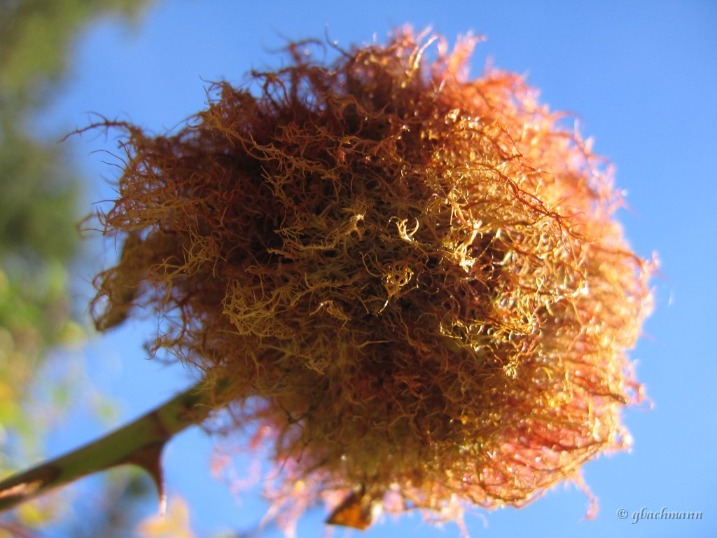 20081026_194